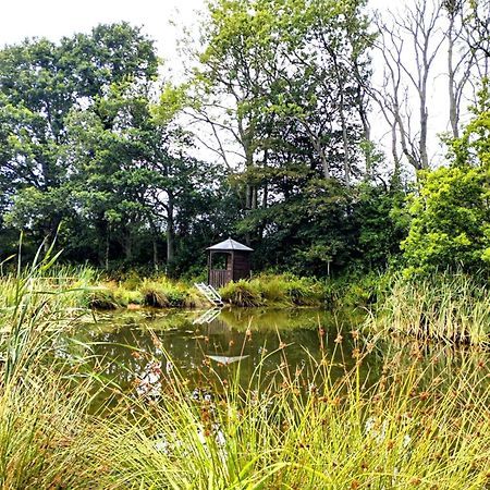 Charming Tranquil Shepherds Hut With Lakeside Balcony 'Roach' Uckfield Eksteriør billede