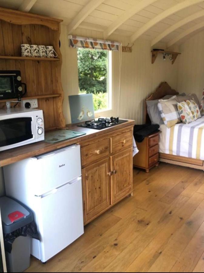 Charming Tranquil Shepherds Hut With Lakeside Balcony 'Roach' Uckfield Eksteriør billede